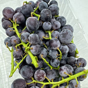 All Fruit at UMall Australia