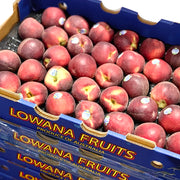 All Fruit at UMall Australia