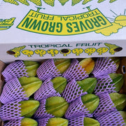 Tất cả trái cây at UMall Australia