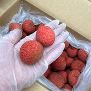 All Fruit at UMall Australia