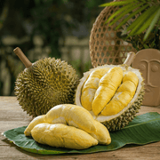 All Fruit at UMall Australia