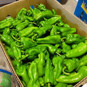 Xu hướng 24h at UMall Australia