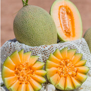 All Fruit at UMall Australia