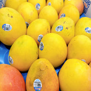 All Fruit at UMall Australia