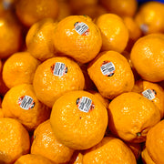 All Fruit at UMall Australia