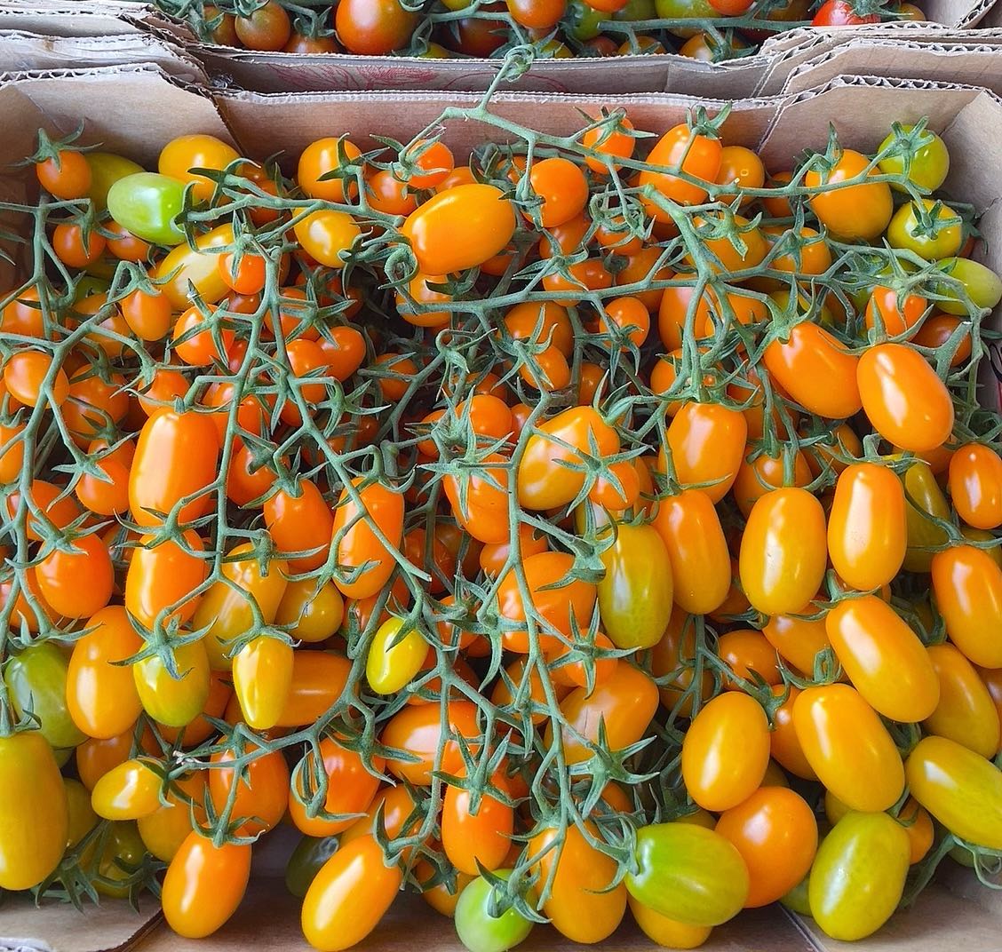 Yellow-Vine-Tomatoes---500g-1