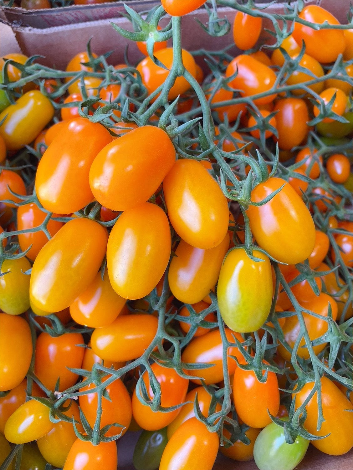 Yellow-Vine-Tomatoes---500g-1