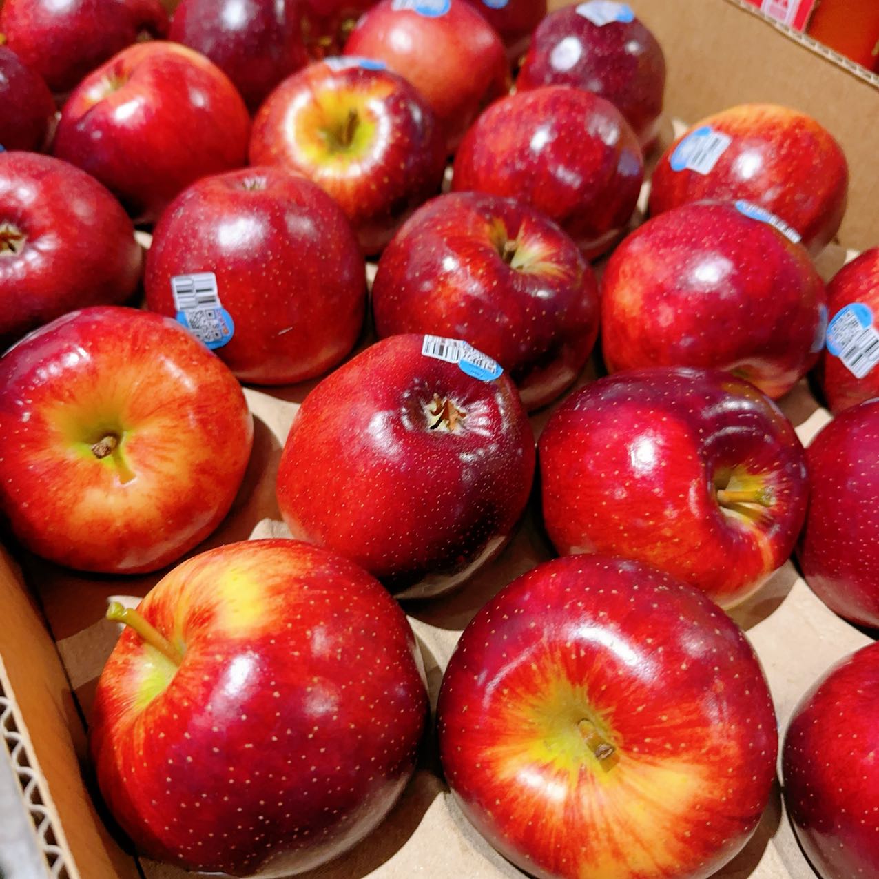 Bravo-Apples---1kg-1