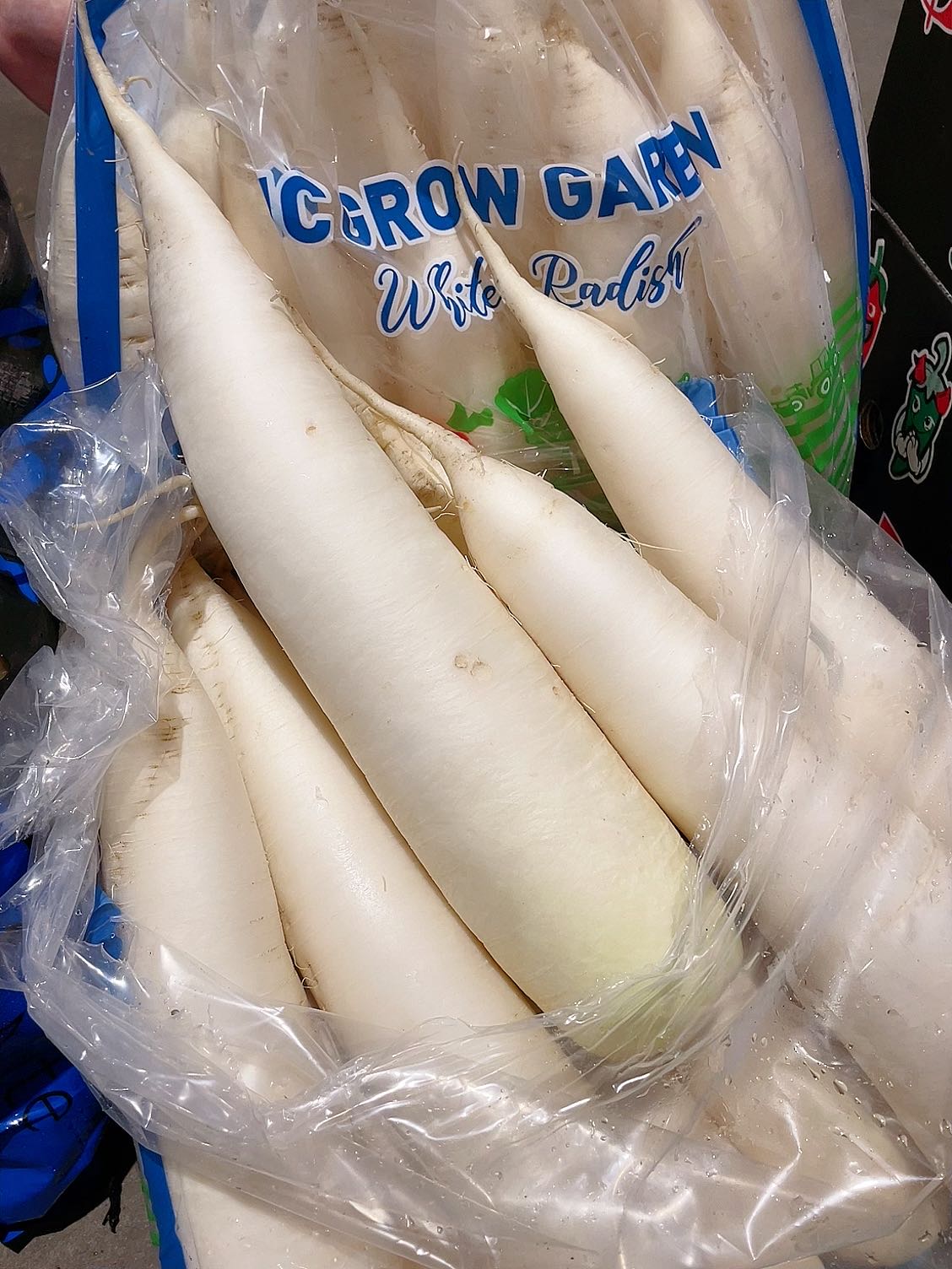 [Fresh]-Single-White-Radish-1