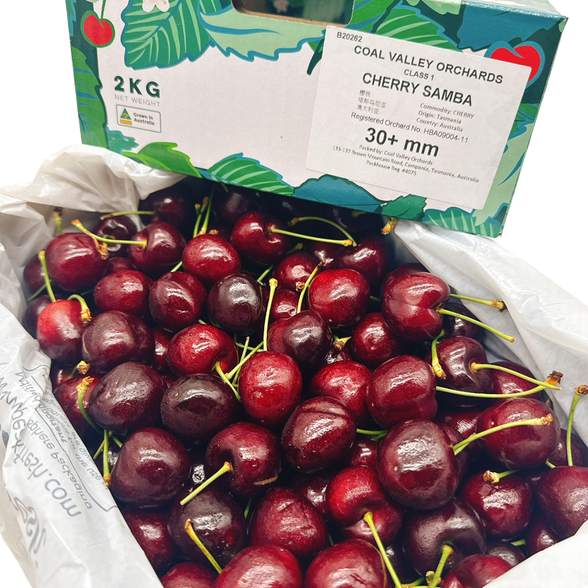 Tasmanian-Samba-Cherries-Gift-Box-30mm+---2kg-1