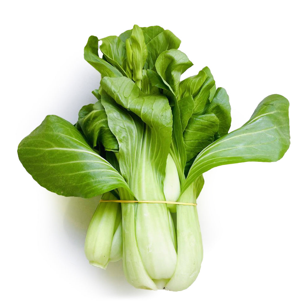 [Fresh]-Hydroponically-Grown-Shanghai-Bok-Choy---1-Bundle-1