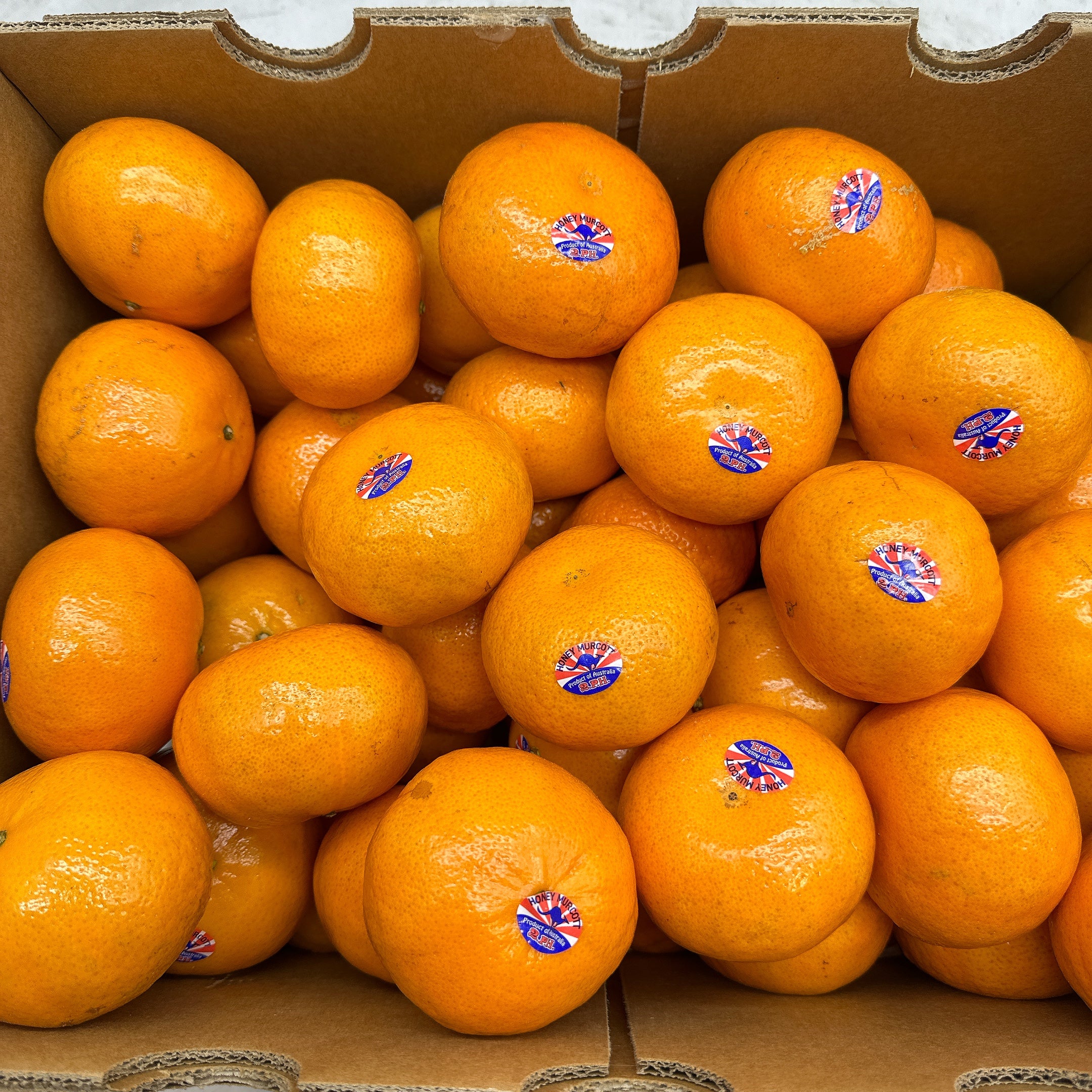 2PH-Honey-Murcott-Mandarins-0.9-1kg-2