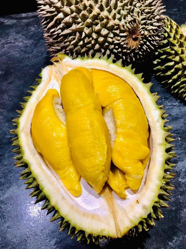 D197-Premium-Malaysian-Musang-King-Durian---2-2.2kg-1