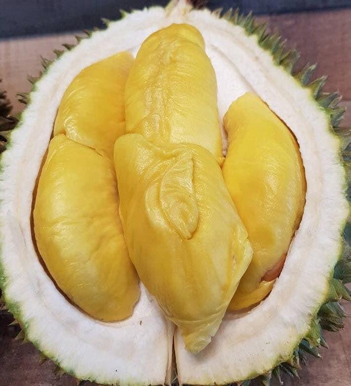 D197-Premium-Malaysian-Musang-King-Durian---1.8-2kg-1