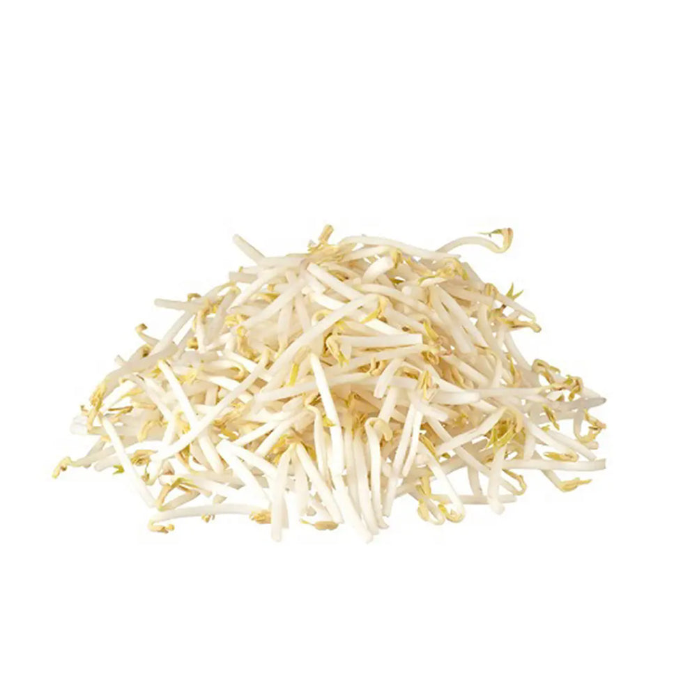 Bean Sprouts 400g