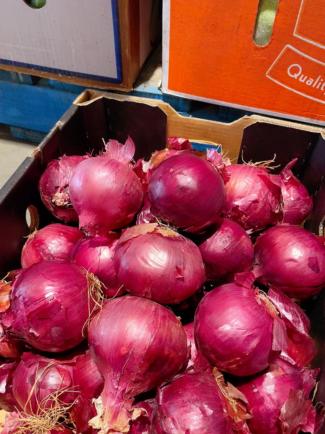 [Fresh]-Purple-Onions-Approximately-1kg-1