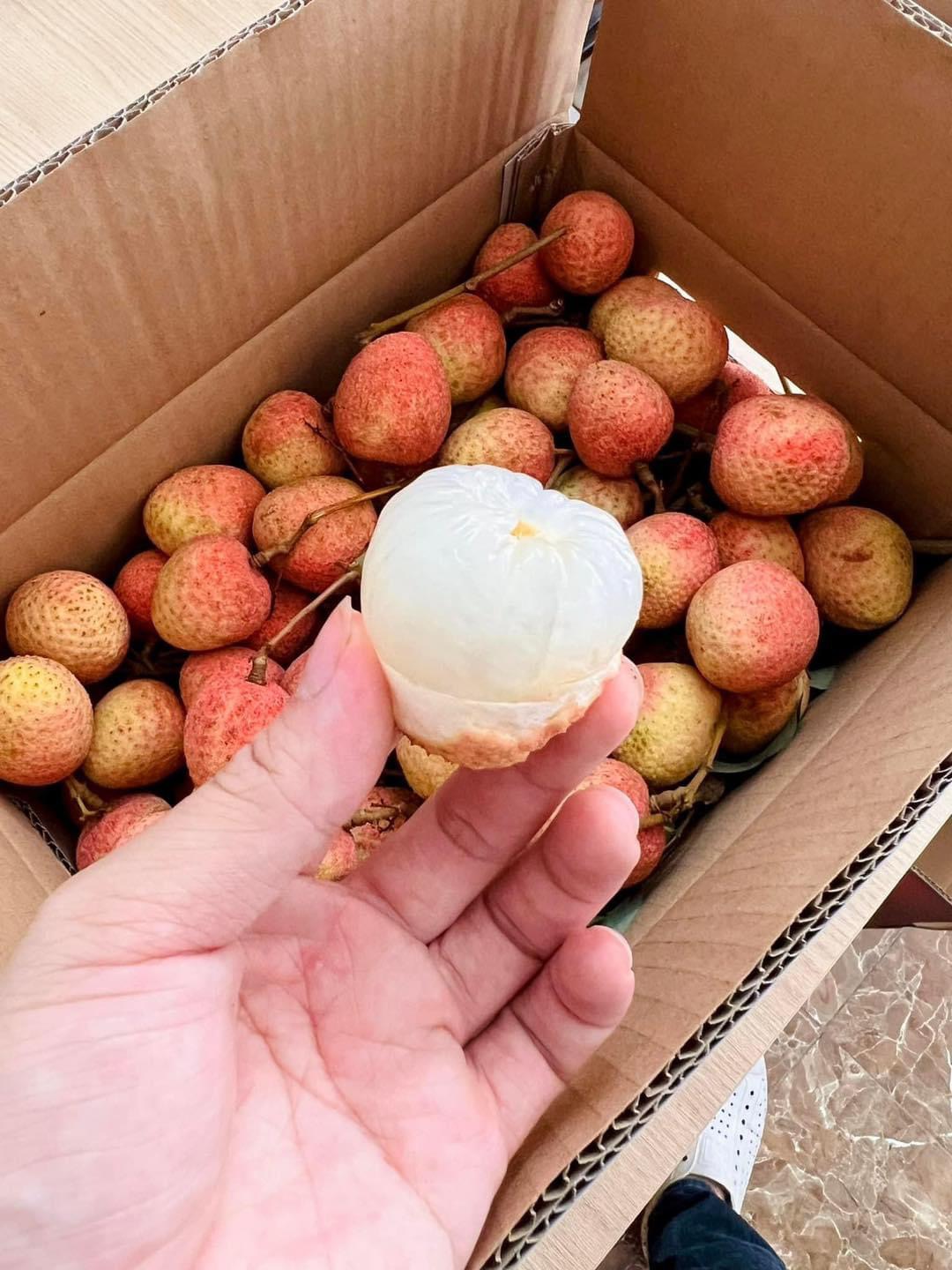 Imported-Sticky-Rice-Lychee---400g-1