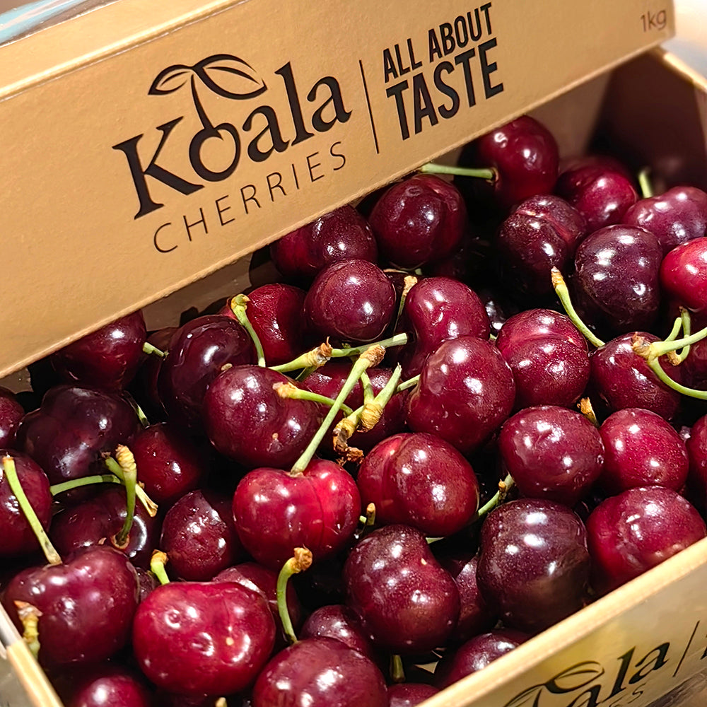 Koala-Cherries-Gift-Box-32-34mm---1kg-1