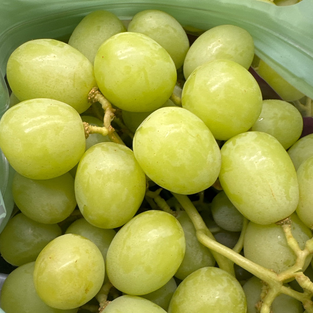 Cordoma-Green-Grapes---1kg-1