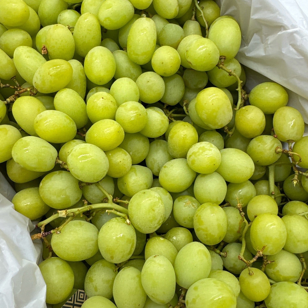 Australian-Shine-Muscat-Grapes---Box-of-4.5kg-1