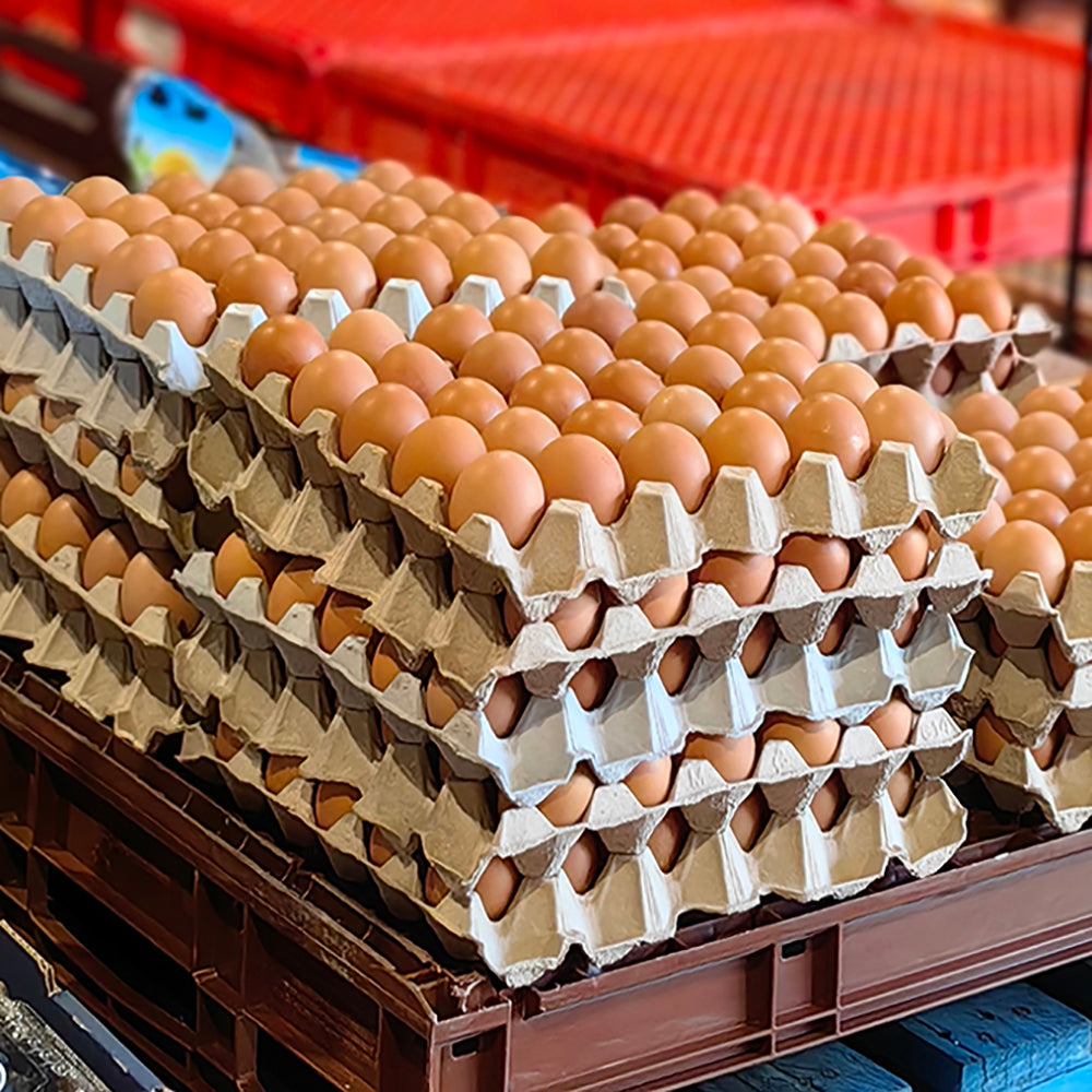 Ash-&-Sons-Free-Range-XL-Eggs---180-Pieces-1