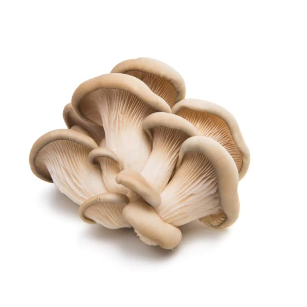 Chois Grey Oyster Mushrooms - 1 Pack