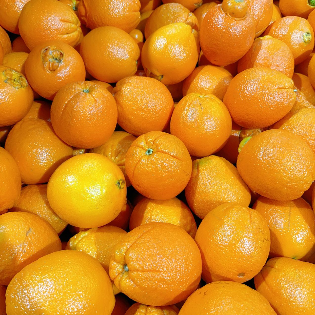 Local Extra Large Sweet Oranges - 1.3kg