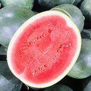 All Fruit at UMall Australia