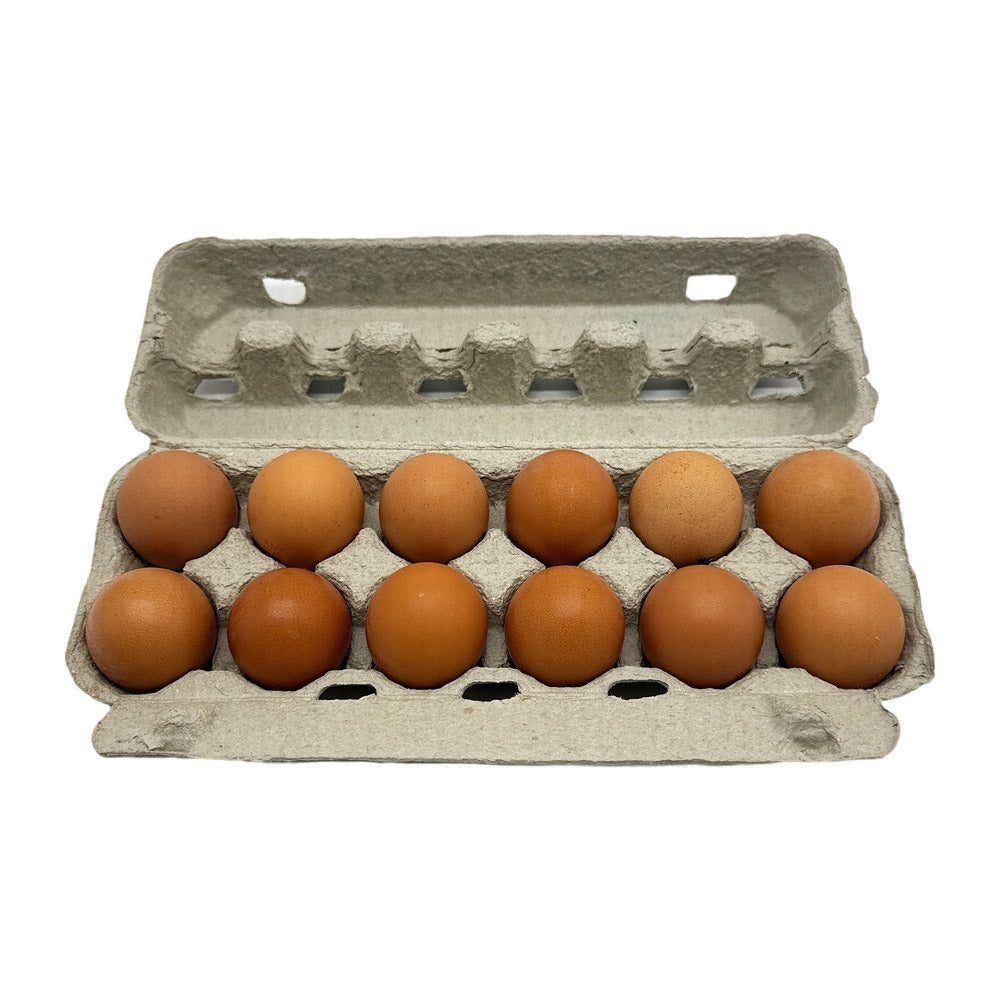 Pace Farm Caged Eggs L Size 12pcs 600g