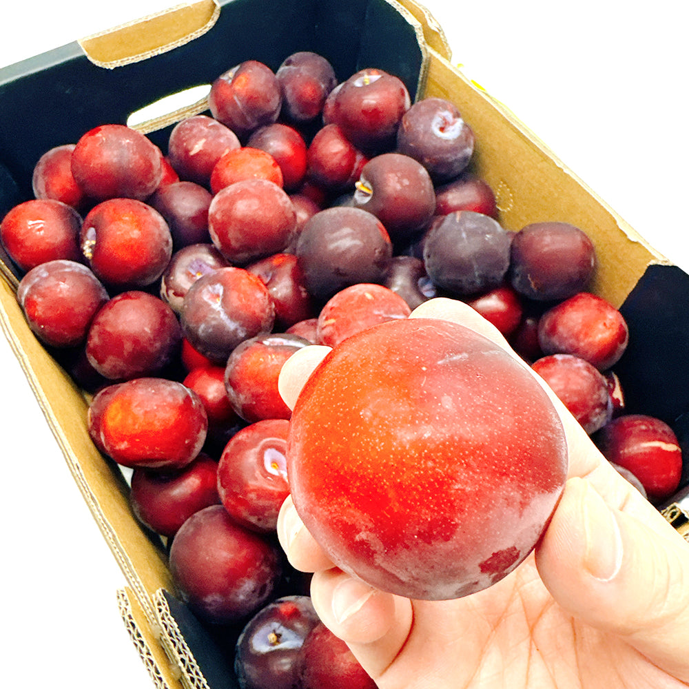 Fresh-Plums---500g-1