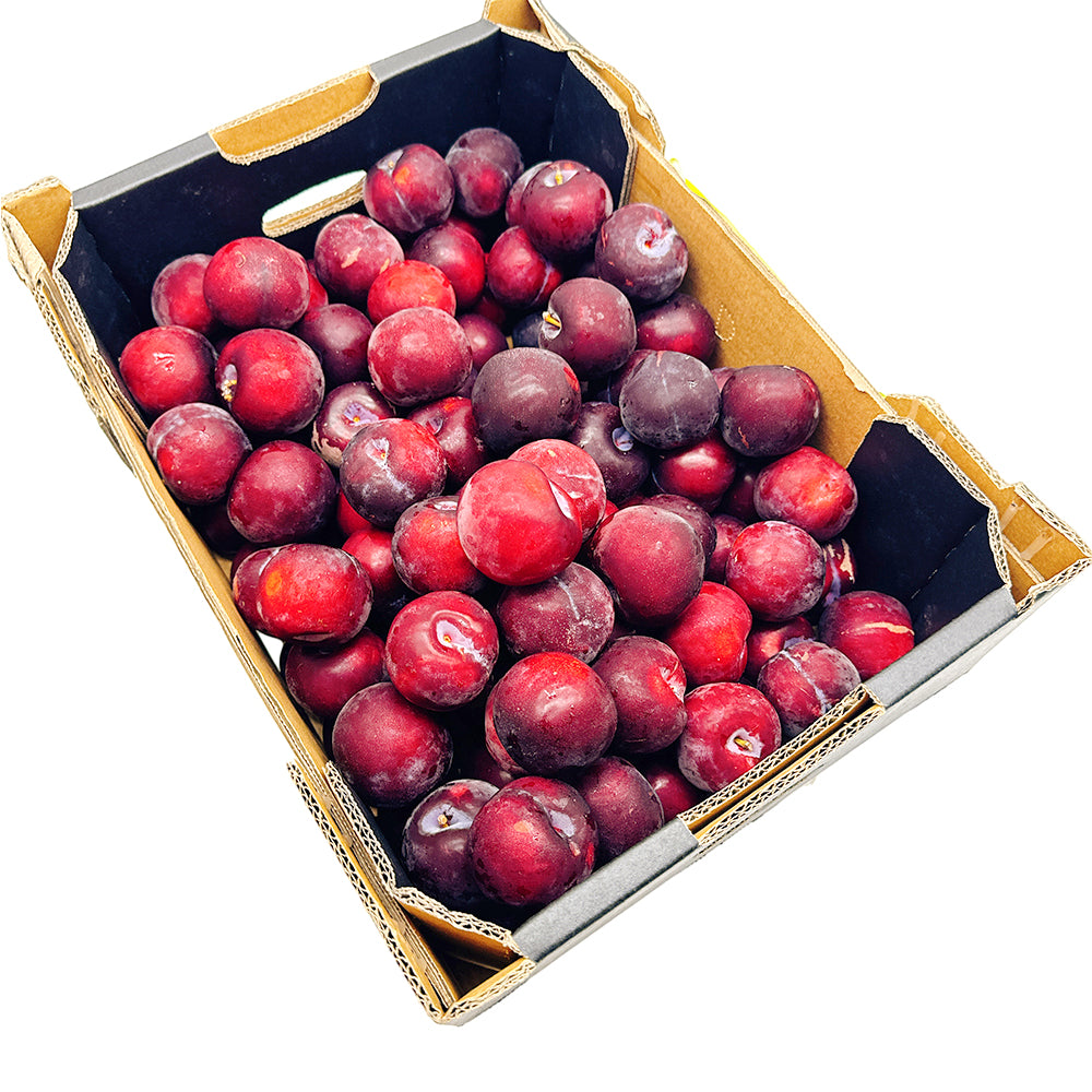 Premium-Fresh-Plums---1kg-1