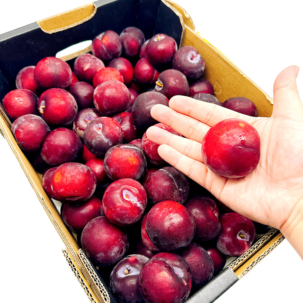 Premium-Fresh-Plums---1kg-1