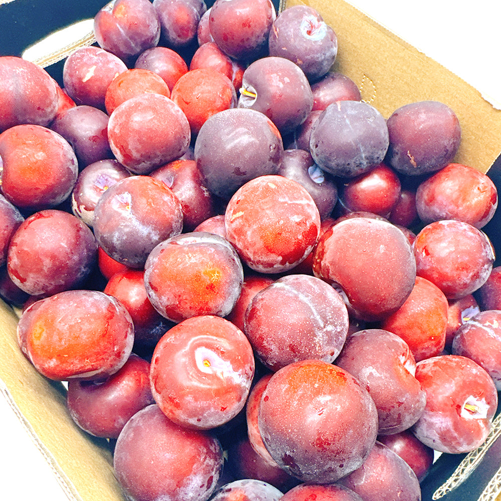 Fresh-Plums---500g-1