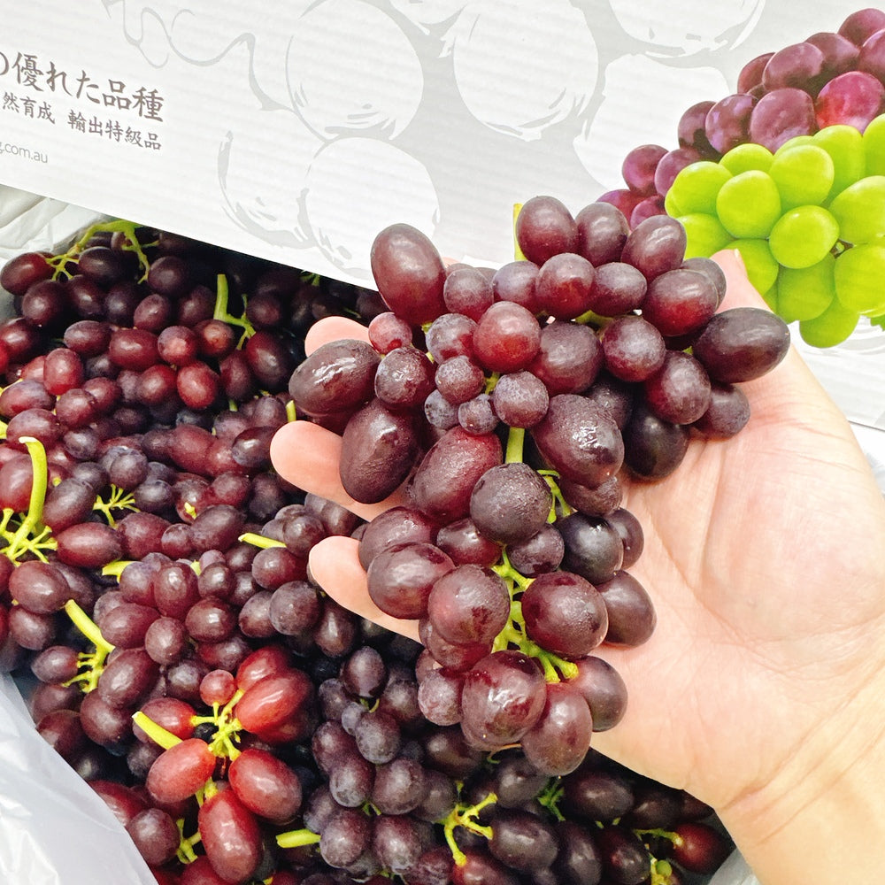 Japanese-Black-Muscat-Grapes---1kg-1