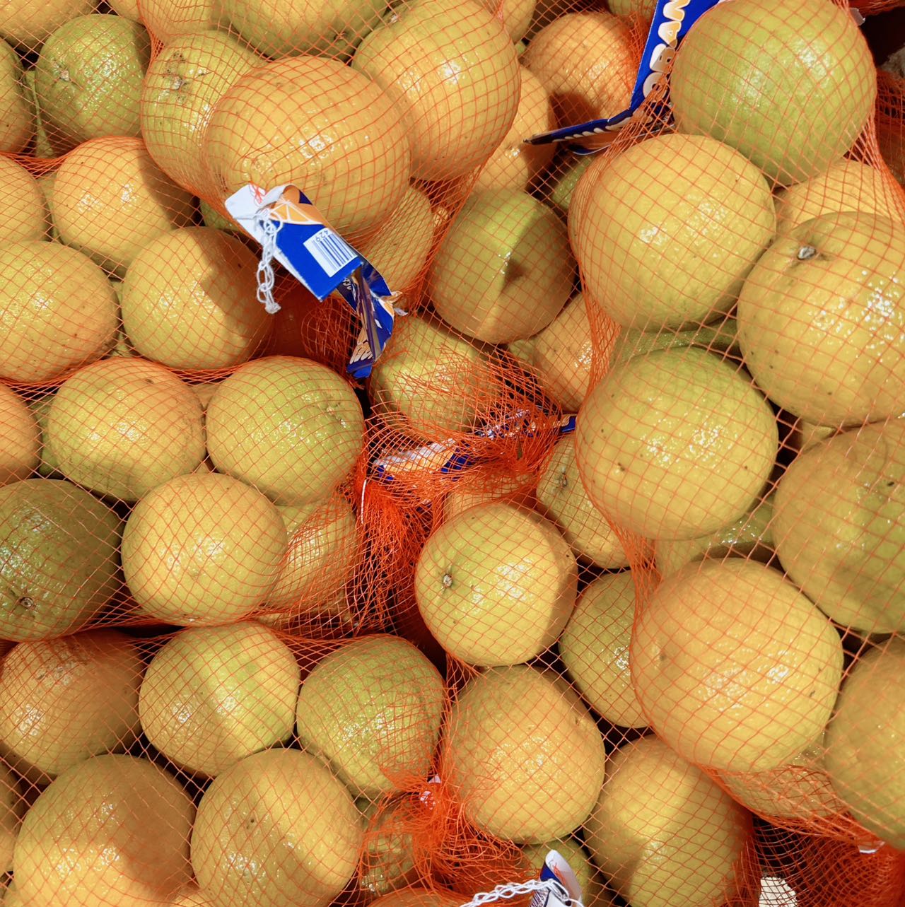 [Fresh]--Navel-Oranges-Approximately-3kg-1