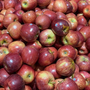 All Fruit at UMall Australia