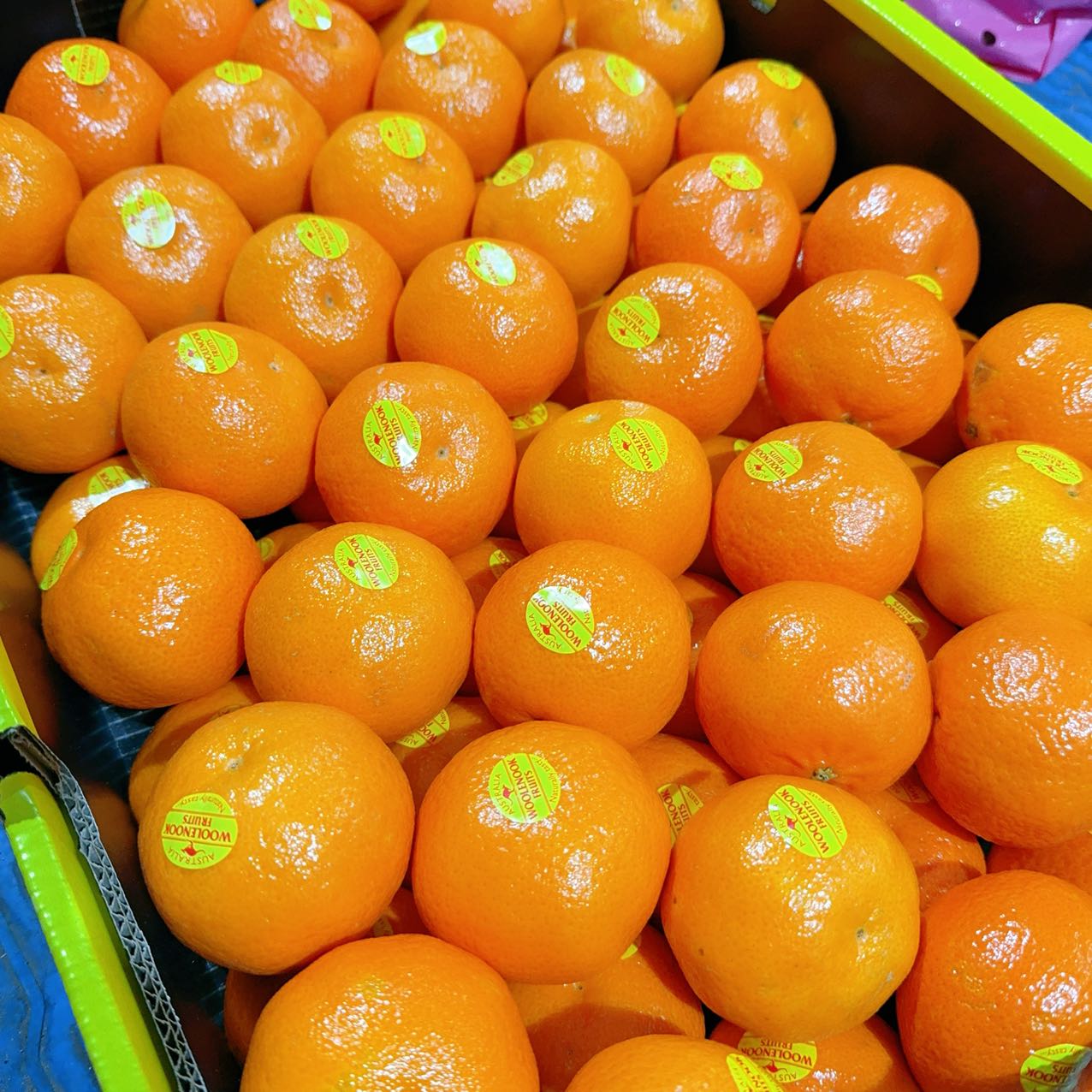 Woolenook Fruits Super Sweet Clementine Oranges 1kg