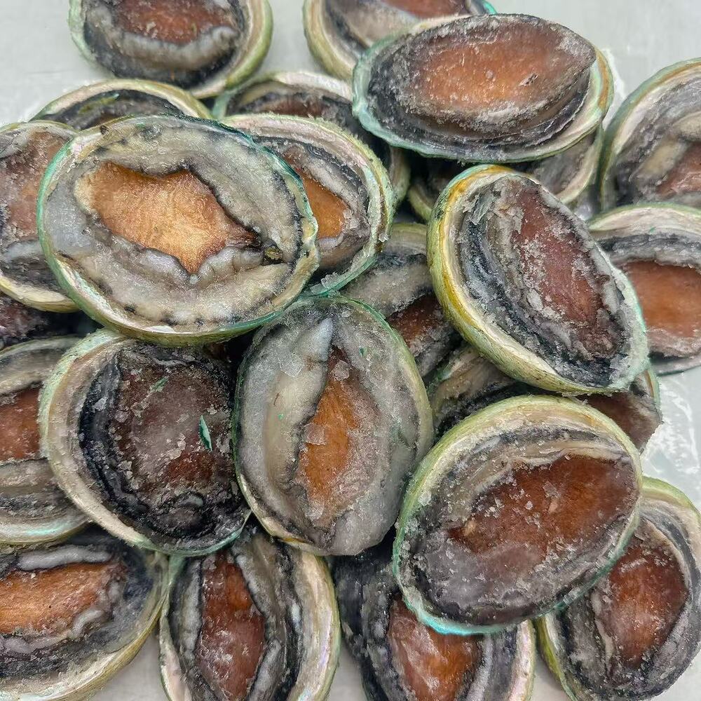 Frozen-Tiger-Abalone-–-12-Pieces-(Approx.-1-kg)---Wild-Caught-Whole-Shell-On-Gourmet-Seafood-3