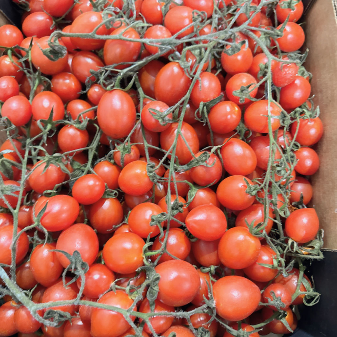 [Fresh]-Cherry-Tomatoes-Approximately-250g-1