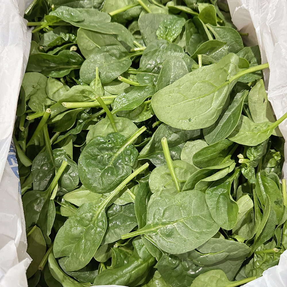 [Fresh]-Tender-Spinach-Leaves-Approximately-300g-1