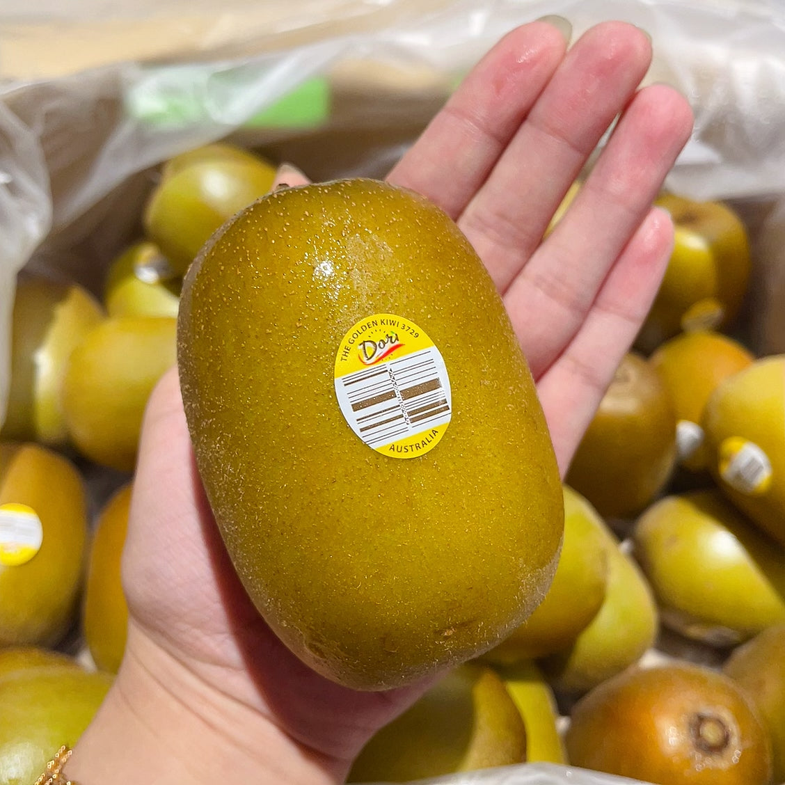 [Fresh]--Local-Golden-Kiwi-Approximately-500g-1