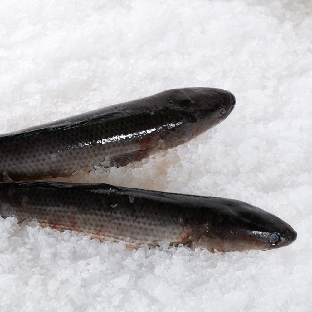 Frozen-Whole-Snakehead-Fish-1–1.2kg-1