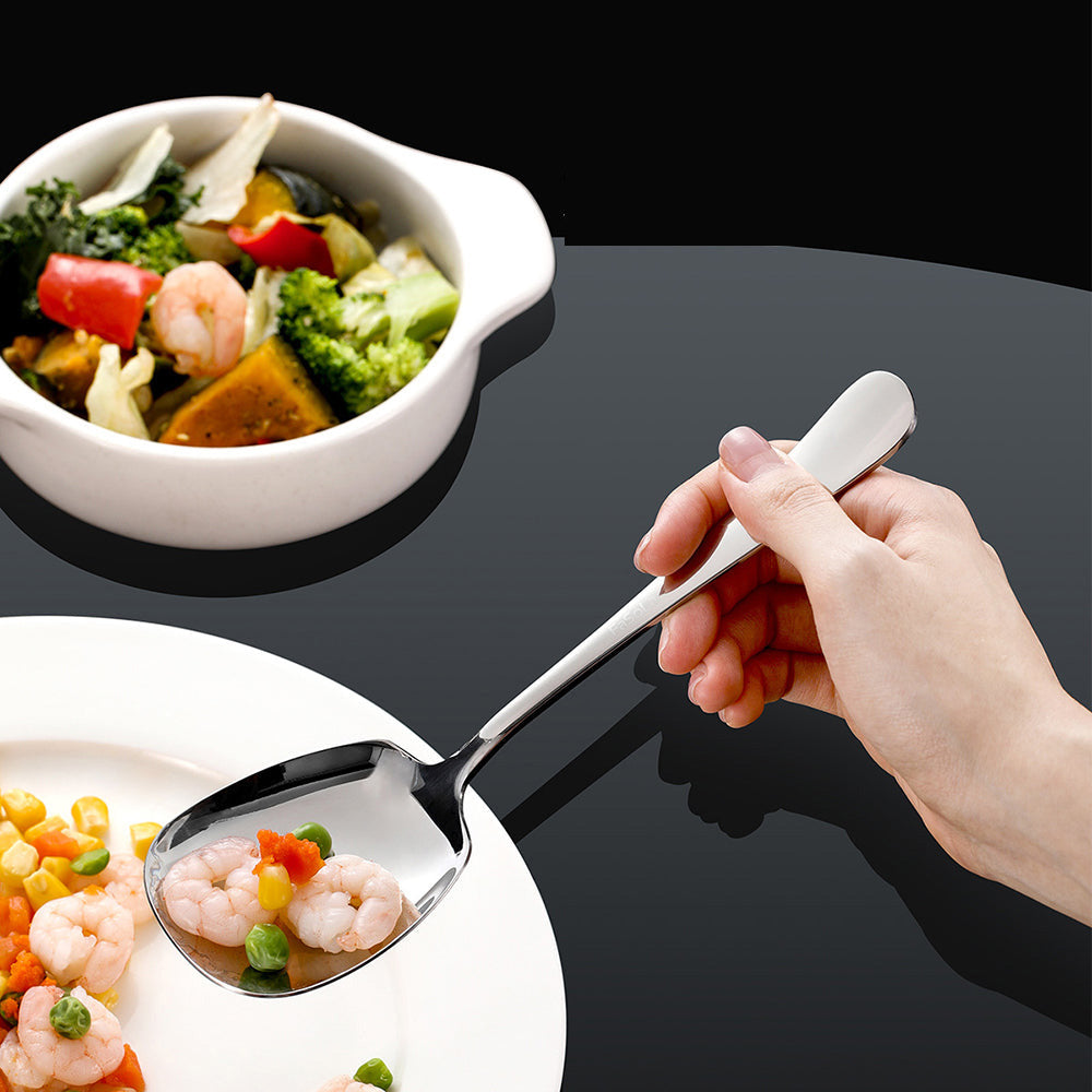 FaSoLa Stainless Steel Serving Spoon