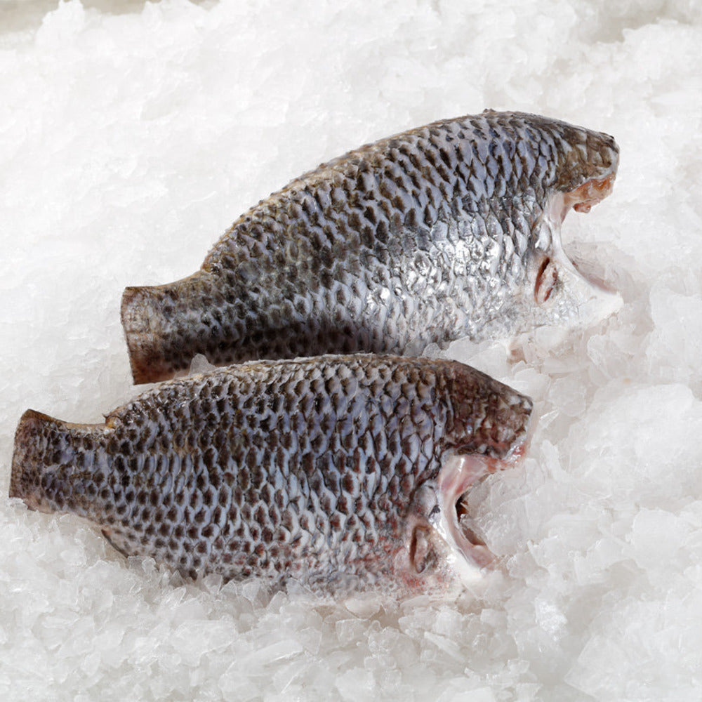 Frozen-Cleaned-Black-Tilapia-(Headless,-Scaled-&-Gutted)-900-1100g-–-Whole-Tilapia-Fish-1