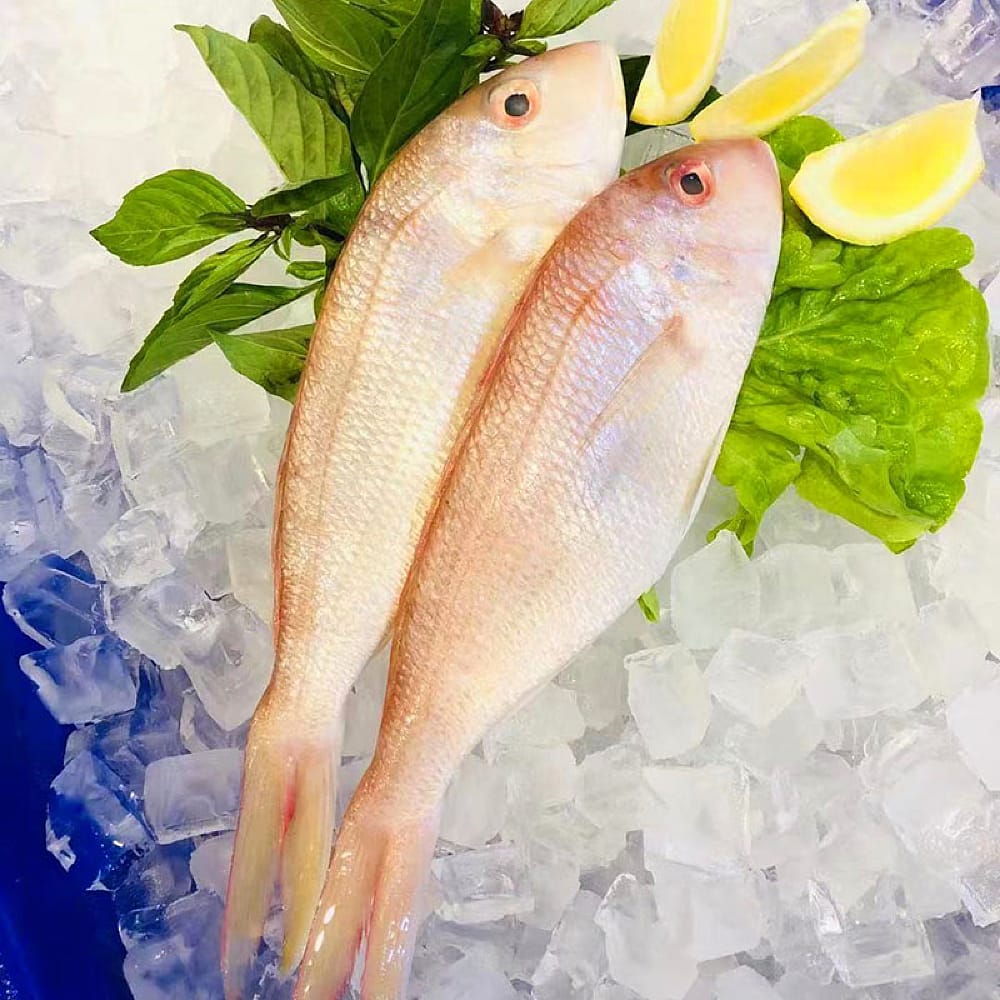 Frozen-Local-Red-Snapper---Approx.-500g-1