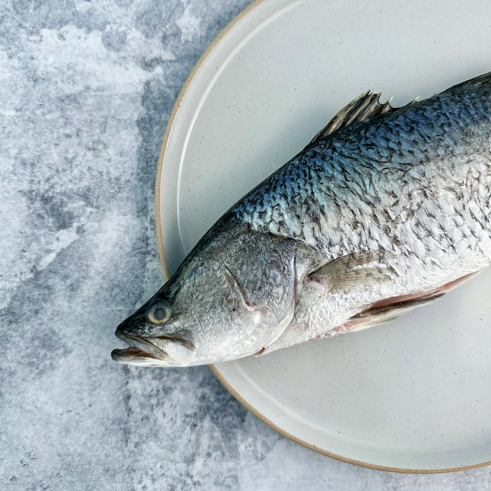 Whole-Barramundi-(Scaled-&-Gutted)---600-800g-1