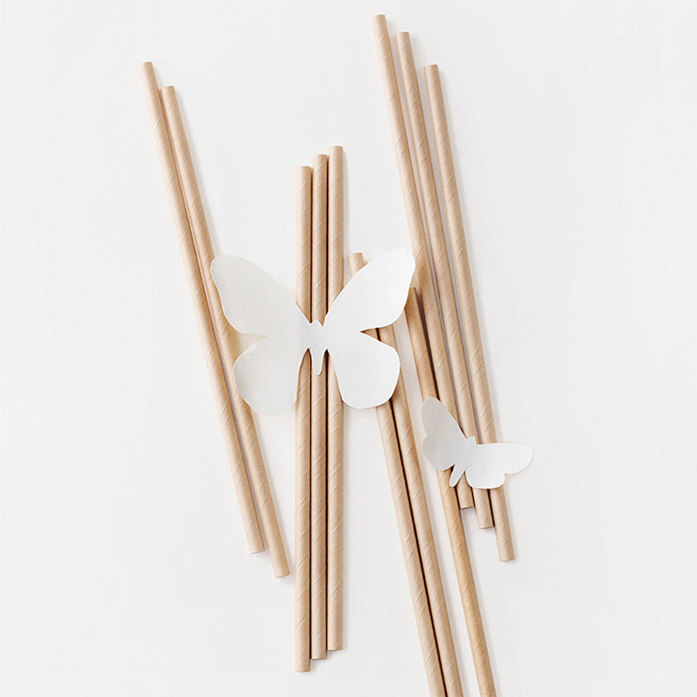 Camellia-Natural-Colour-Paper-Straws,-Straight,-Pack-of-50-1