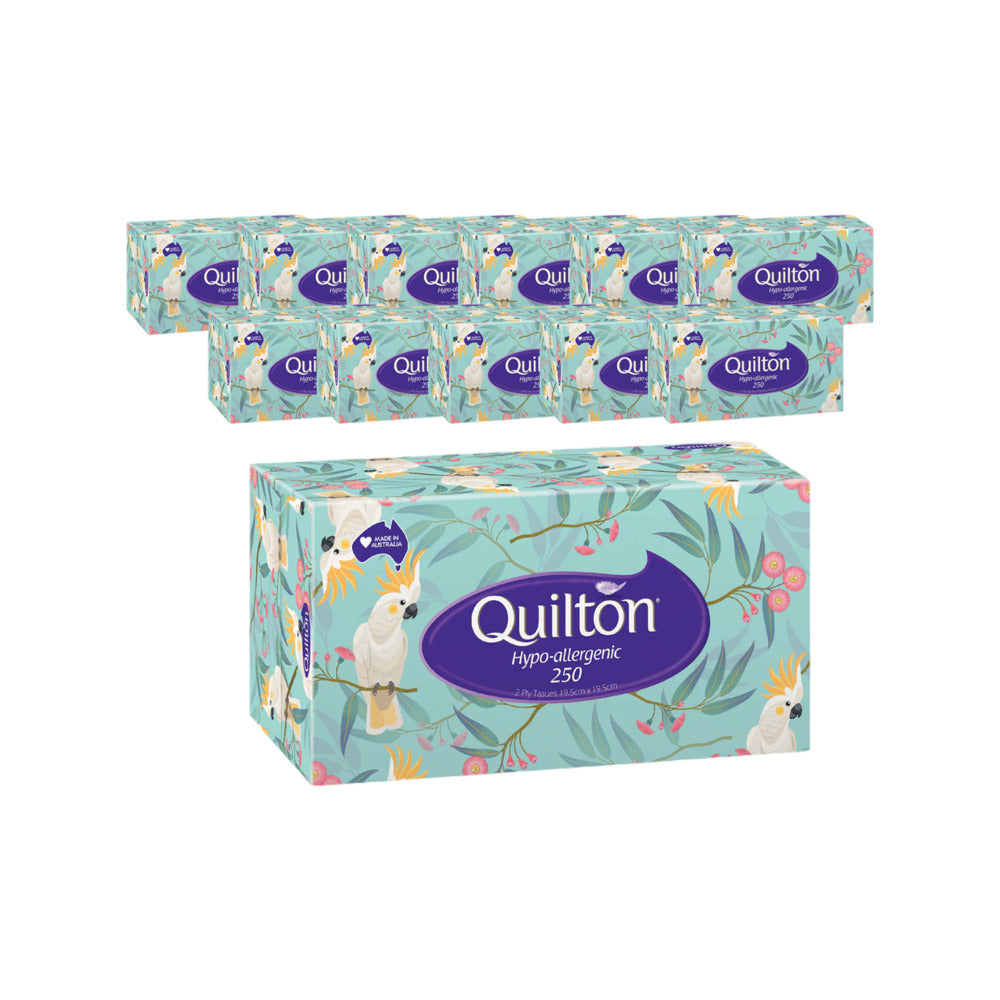 Quilton-Hypoallergenic-2-Ply-Facial-Tissues-250-Sheets-x-12-Boxes-1