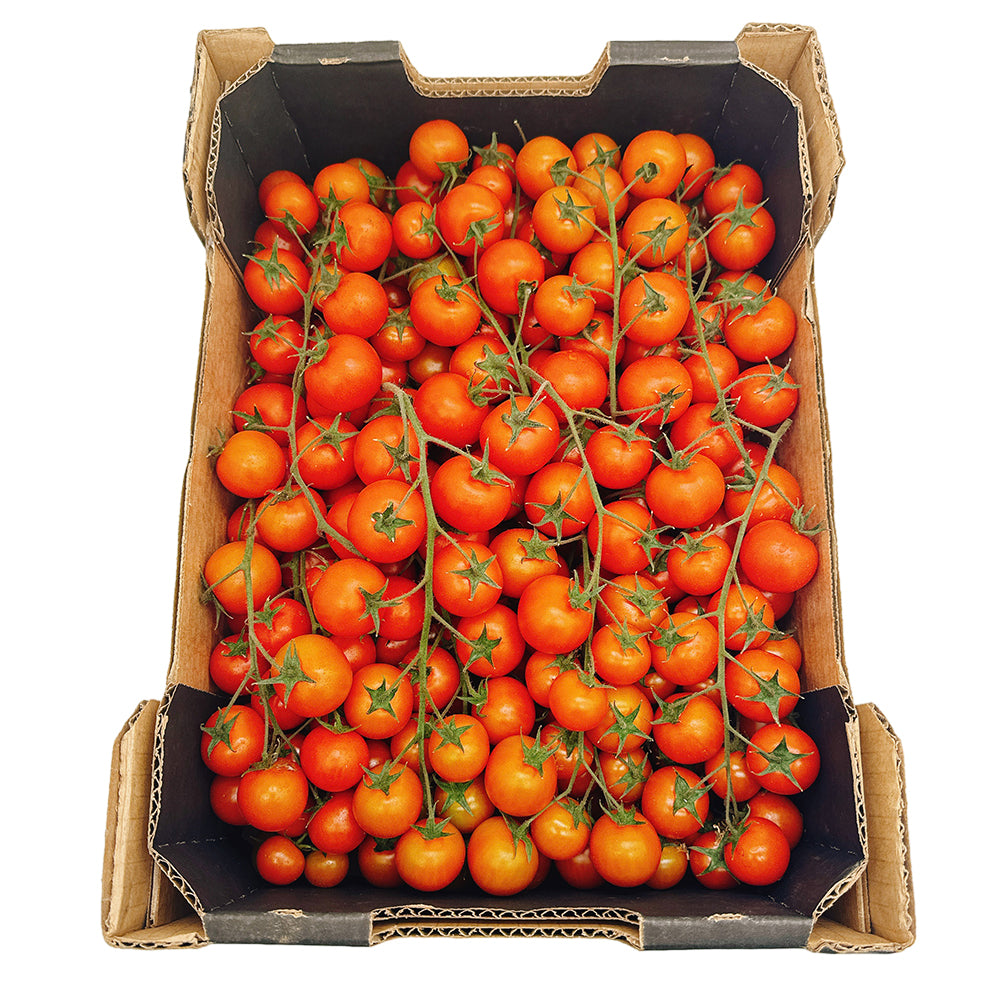 Super Sweet Roma Cherry Tomatoes - Box of 5kg