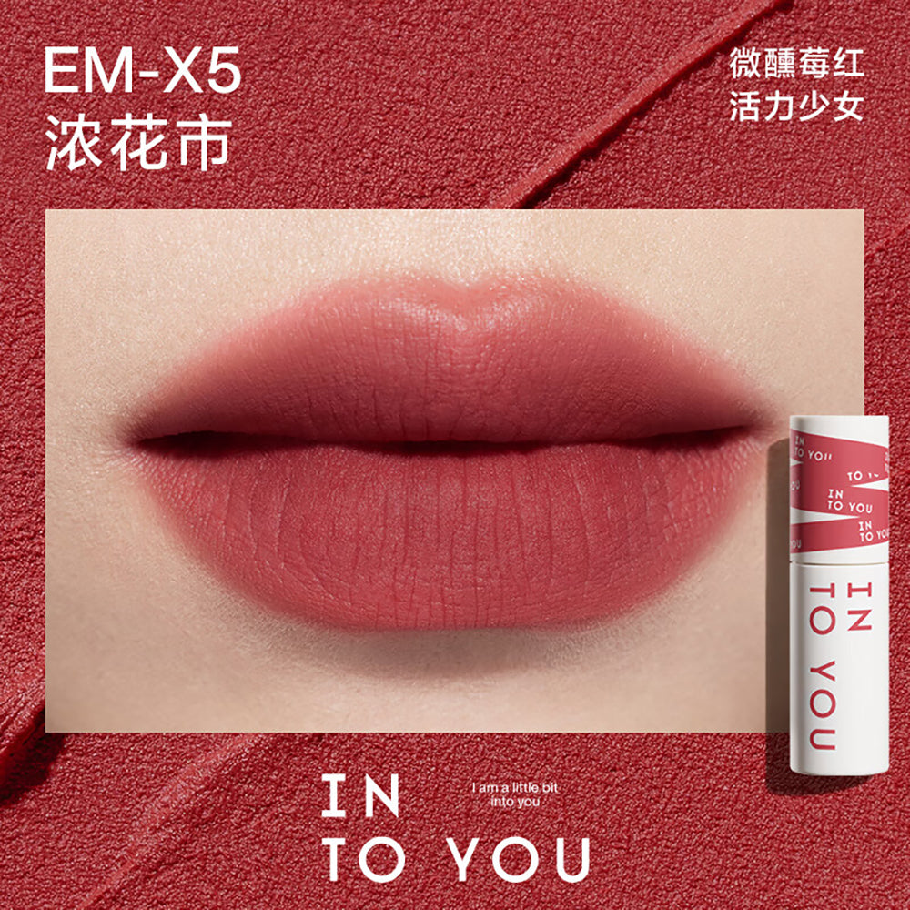 INTO-YOU-Dual-Use-Lip-and-Cheek-Mud-EM-X5-1